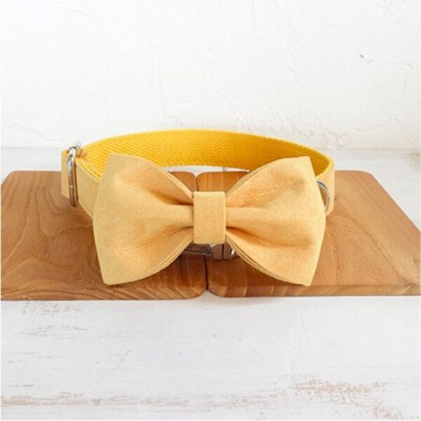 Nala pet dog collar traction rope - Image 2