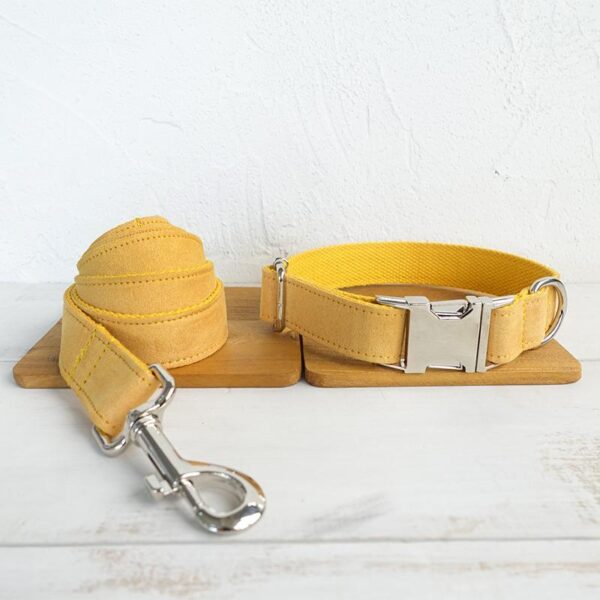 Nala pet dog collar traction rope - Image 3